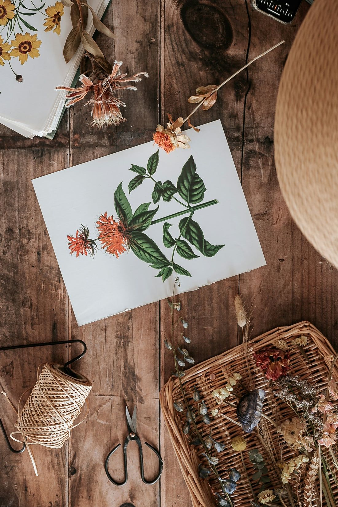 green leaves on white printer paper