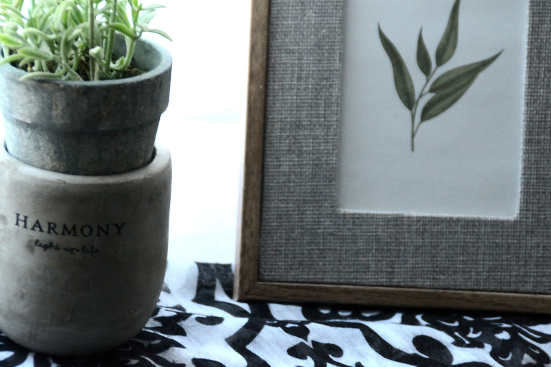 Potted plant next to framed botanical art